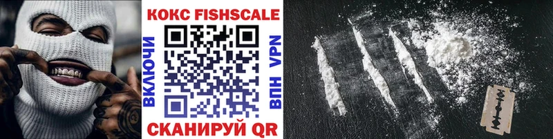 купить наркотики цена  Ельня  Cocaine FishScale 