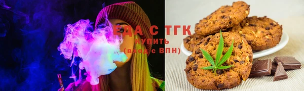 сатива Новозыбков