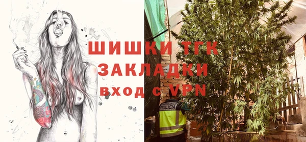 твердый Няндома