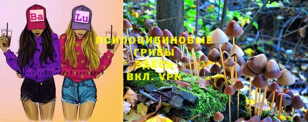 ГАЛЛЮЦИНОГЕННЫЕ ГРИБЫ Вяземский