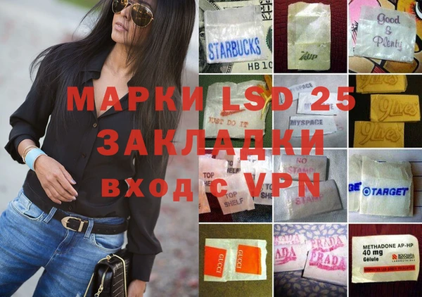 ГАЛЛЮЦИНОГЕННЫЕ ГРИБЫ Вяземский