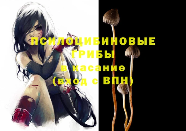 ГАЛЛЮЦИНОГЕННЫЕ ГРИБЫ Вяземский