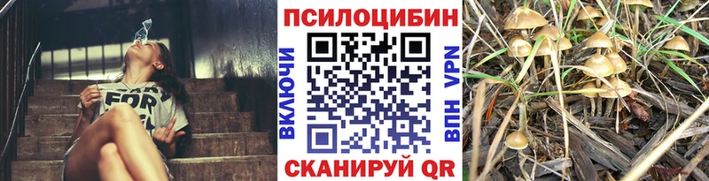ссылка на мегу зеркало  Ельня  Галлюциногенные грибы Psilocybine cubensis 